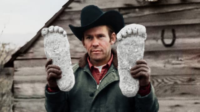 S05:E06 - Mysterious Monsters