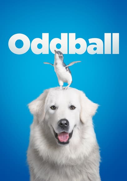Oddball