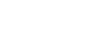 Level 3