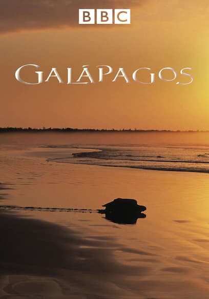 Galapagos