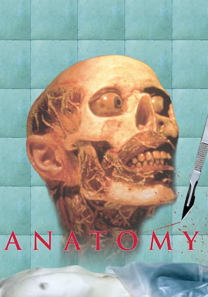 Anatomy