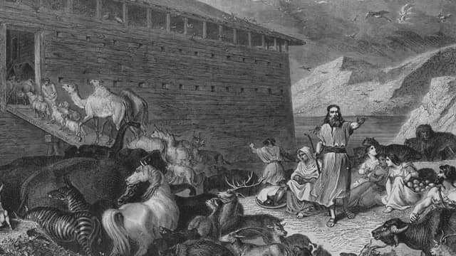 S01:E04 - Hunt for Noah's Ark