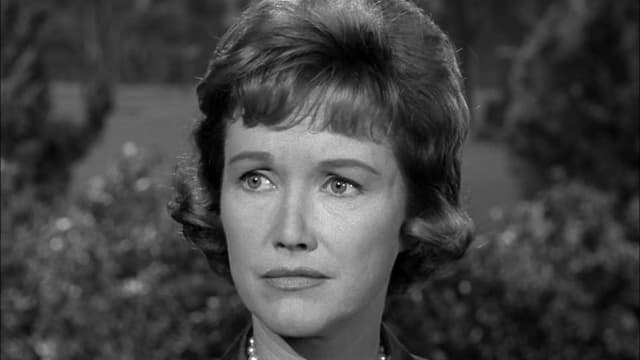S05:E12 - The Case of the Brazen Bequest