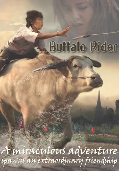 Buffalo Rider