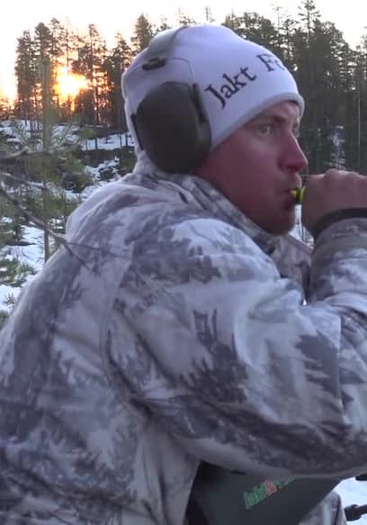 Póster de S01:E09 - Calling Foxes During Winter Time in the Wilderness of Scandinavia