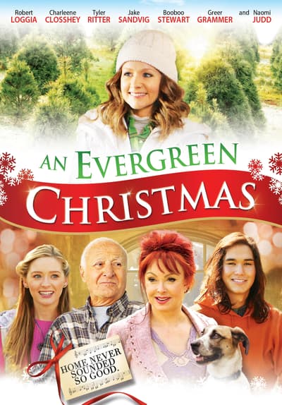 Watch An Evergreen Christmas 2014 Free Movies Tubi