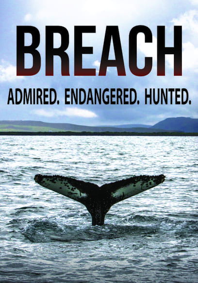 Breach