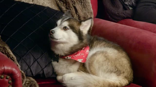 S02:E15 - Bigfoot or Bust