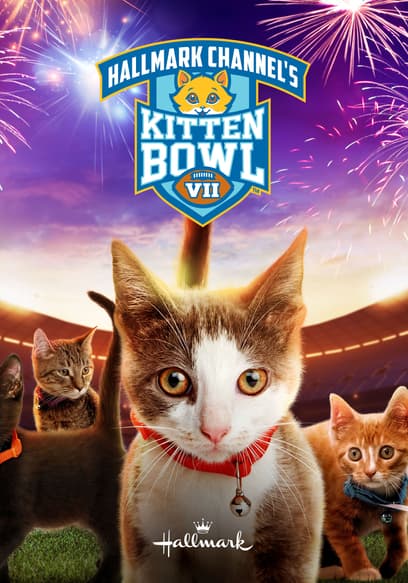 Kitten Bowl VII