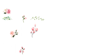 Save the Wedding