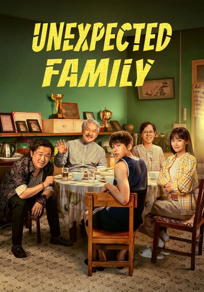 Unexpected Family poster