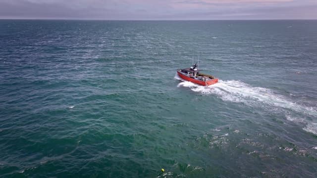 S01:E04 - All In, All Out