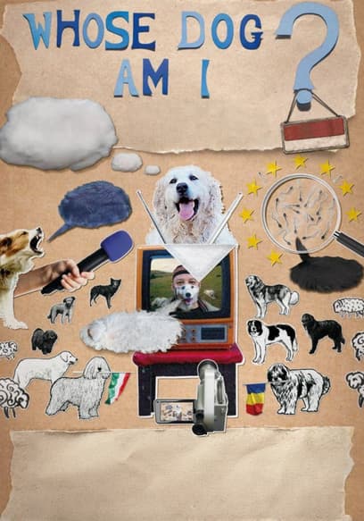 Whose Dog Am I? poster