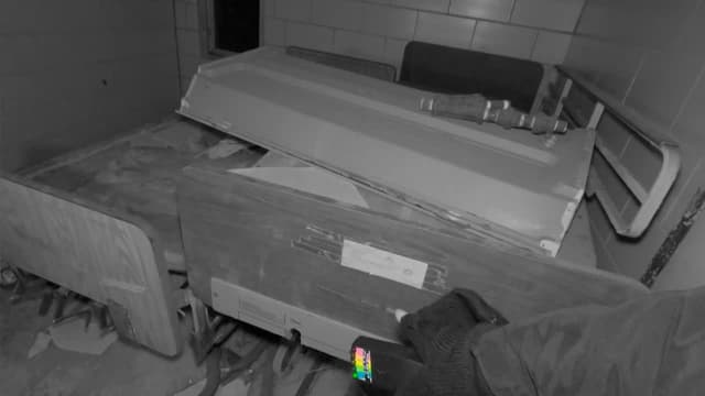 S01:É05 - S01:E05 - Forest Haven Chapter One (Pt. 1)