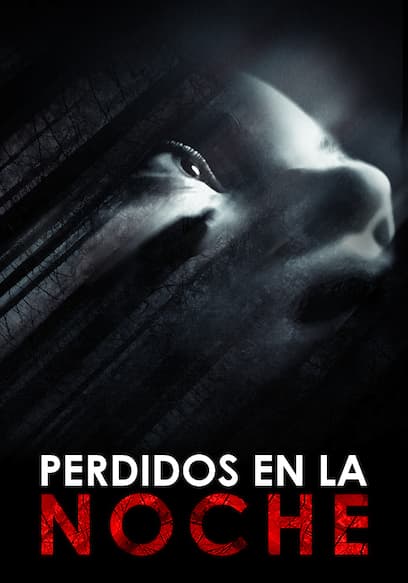 Perdidos En La Noche (Doblado)