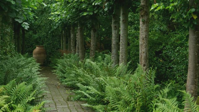 S07:E18 - Episode 18