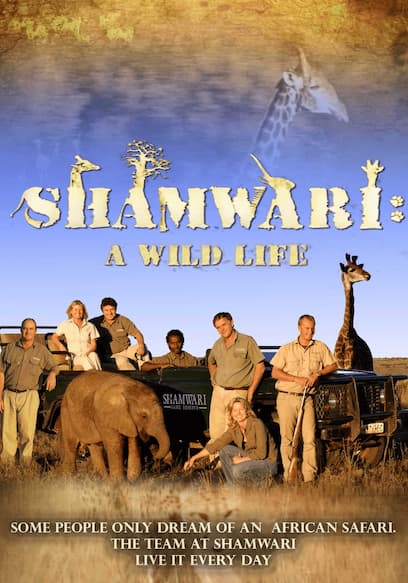 Shamwari