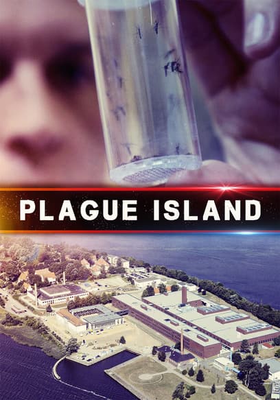 Plague Island