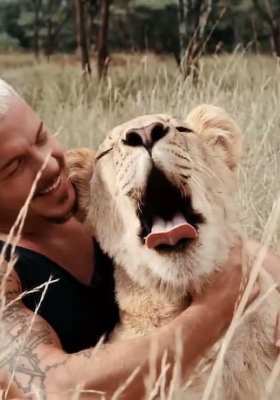 S03:E03 - A Cheetah Becomes a Mother! poster