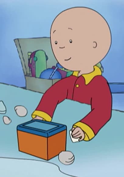 S04:E20 - A Sweet and Sour Day // Caillou's Puppet Show // Caillou's Collection poster