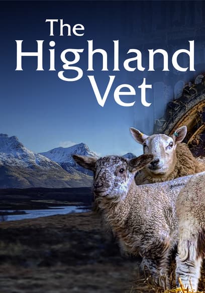 The Highland Vet