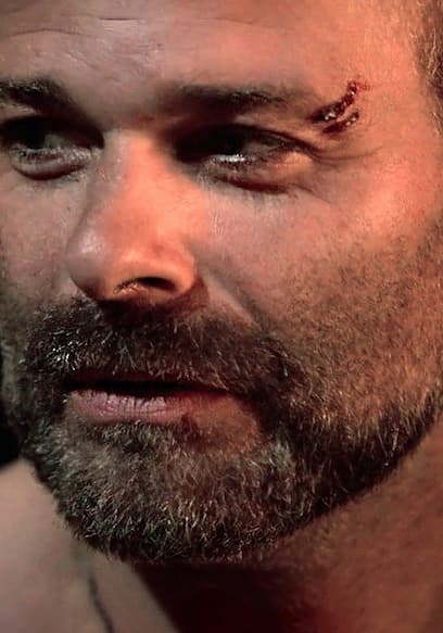 Do Not Disturb Trailer