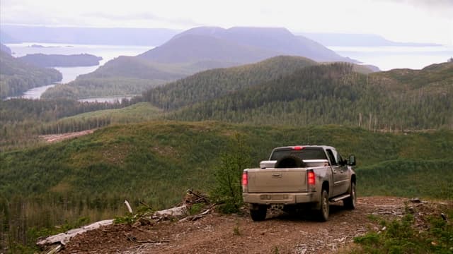 S11:E23 - SCI & 500 lb. Coastal Black Bear