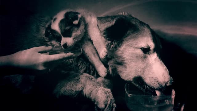 S03:E01 - Alien Armageddon Conspiracy