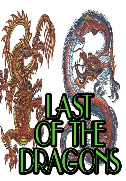 Last of the Dragons poster