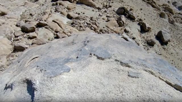 S01:E08 - Kick the Bucket List