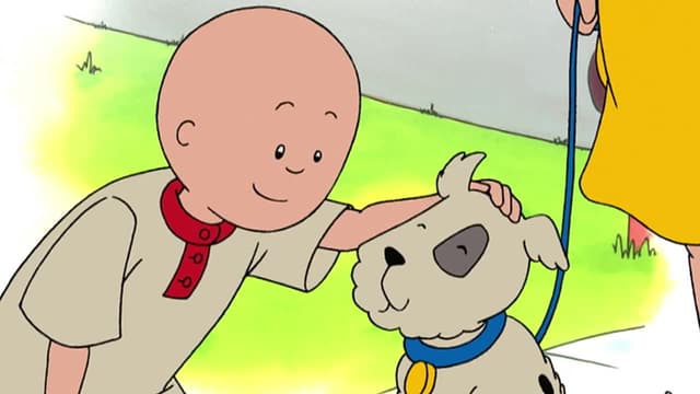 S01:E08 - Caillou's Big Slide // Caillou Walks a Dog // Caillou Watches Rosie // Caillou Gets Sick // Caillou's Phone Call