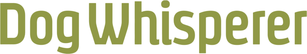 Dog Whisperer with Cesar Millan