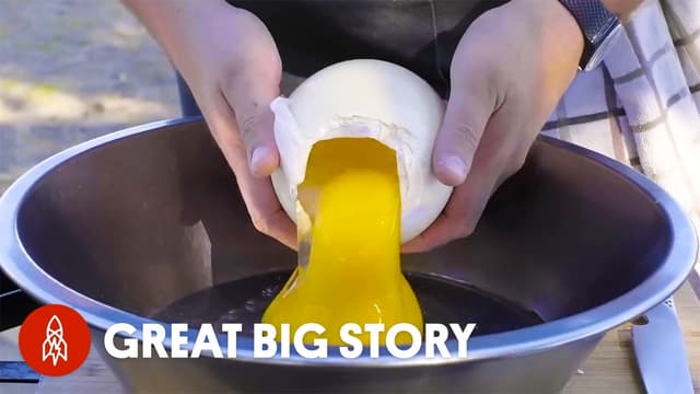 Great Big Story