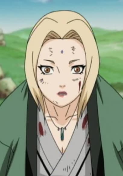 S02:E43 - The Fifth Hokage! a Life on the Line! poster
