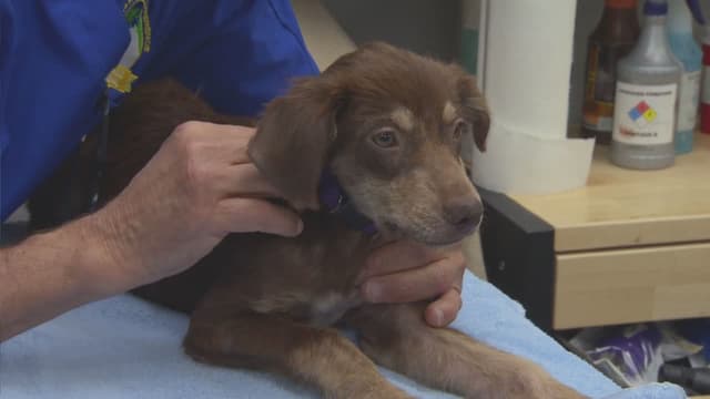 S08:E04 - Making a Splash