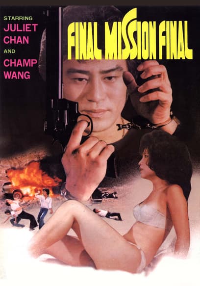 Final Mission Final (Who Knows About Me)