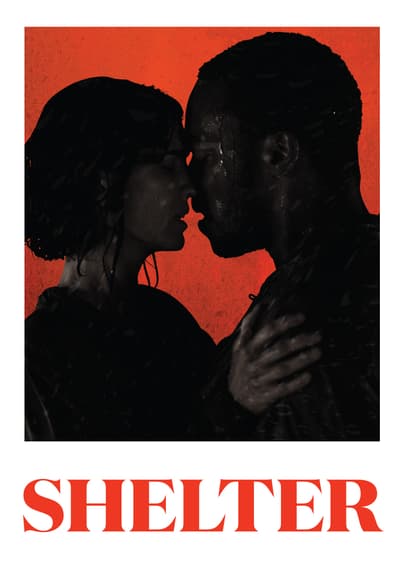 Shelter poster
