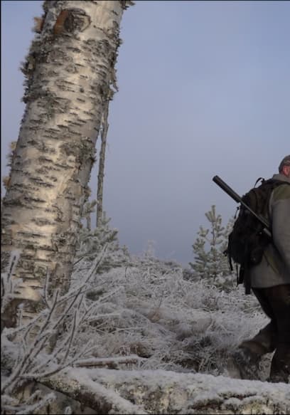 Póster de S01:E07 - Winter Is Arriving and Hunting Capercaillie With Finish Spitz Dog