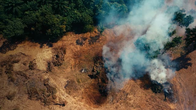 S01:E10 - Learning From Nature