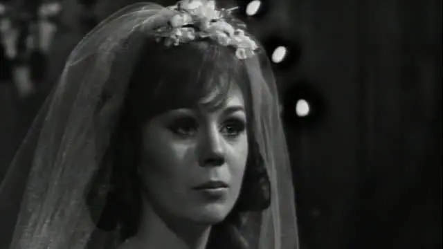 S01:E29 - Episode 239