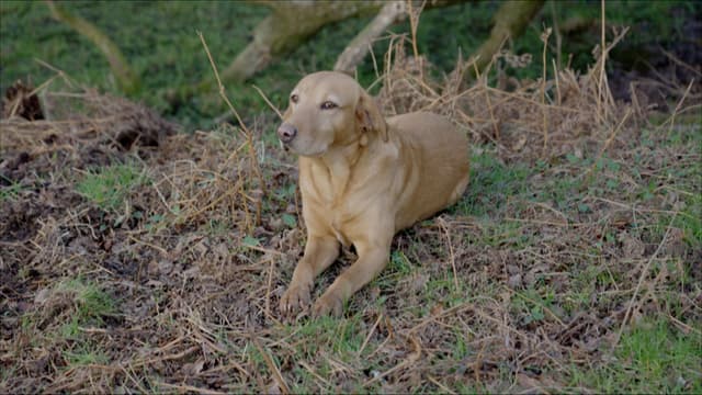 S05:E08 - Winter Fallow