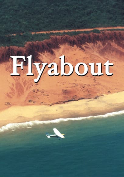 Flyabout