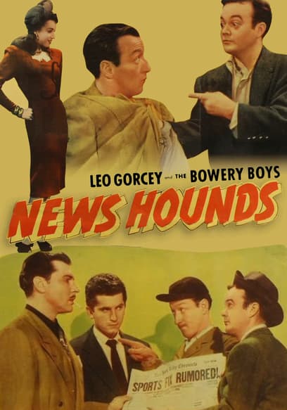 News Hounds