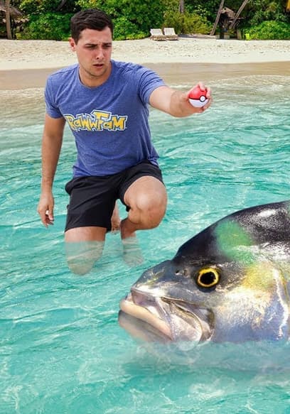Affiche de S01:E08 - FIshing With Poke Balls