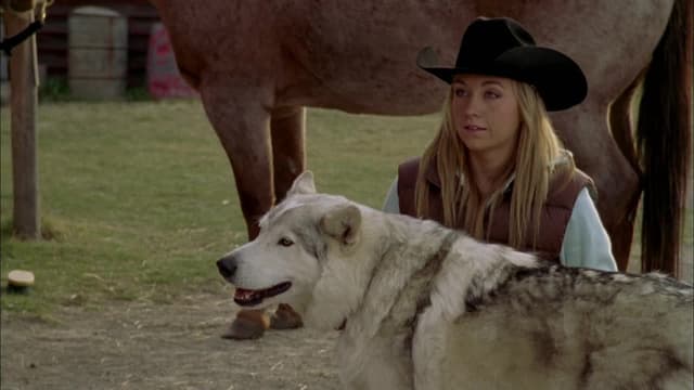 S05:E15 - Breaking Down and Building Up