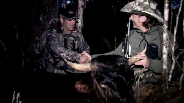 S09:E16 - A Hawaiian Hunting Safari & Vacation