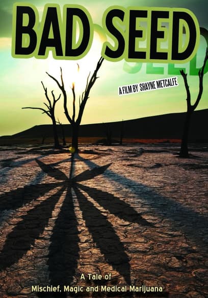 Bad Seed: A Tale of Mischief, Magic and Medical Marijuana