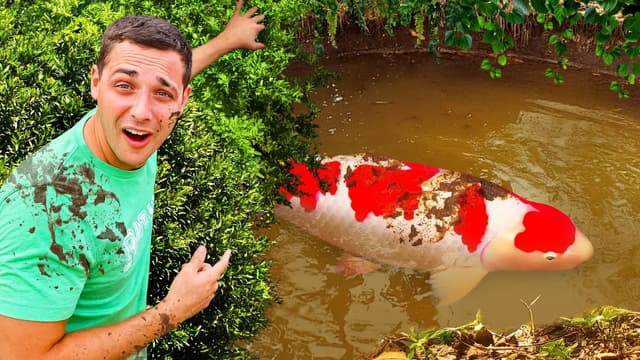S01:E19 - Japanese Koi Fish Adventure