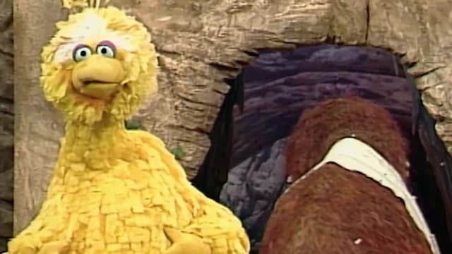 S15:E19 - Snuffy Catches a Cold