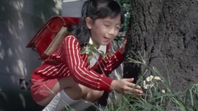 S01:E31 - Japanese Folklore Series! The White Flower That Protects the Earth (From Made Withered Trees to Blossom)